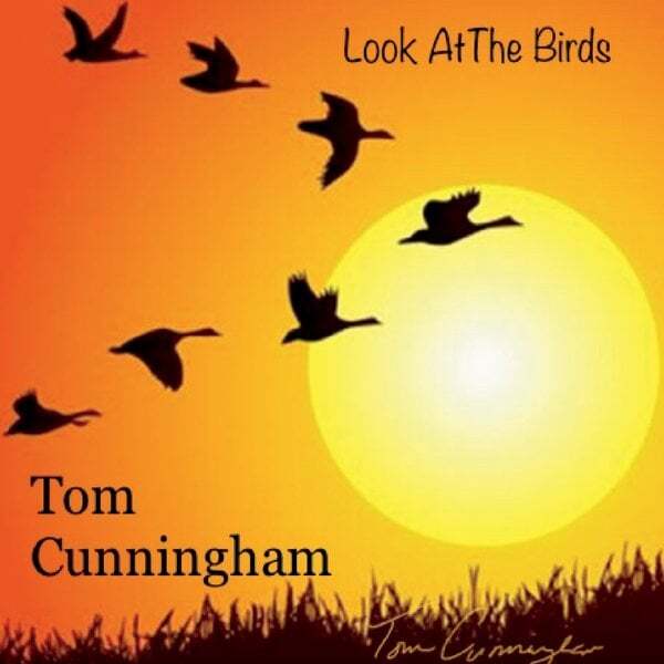 Cover art for Look at the Birds